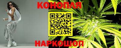 индика Кинель