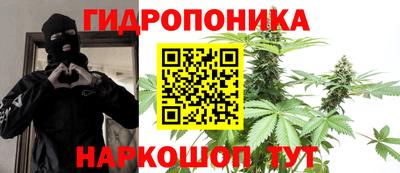 индика Кинель