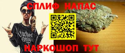 индика Кинель